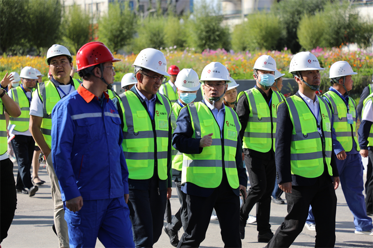 1631932614793505.jpg 1R8A9299.jpg