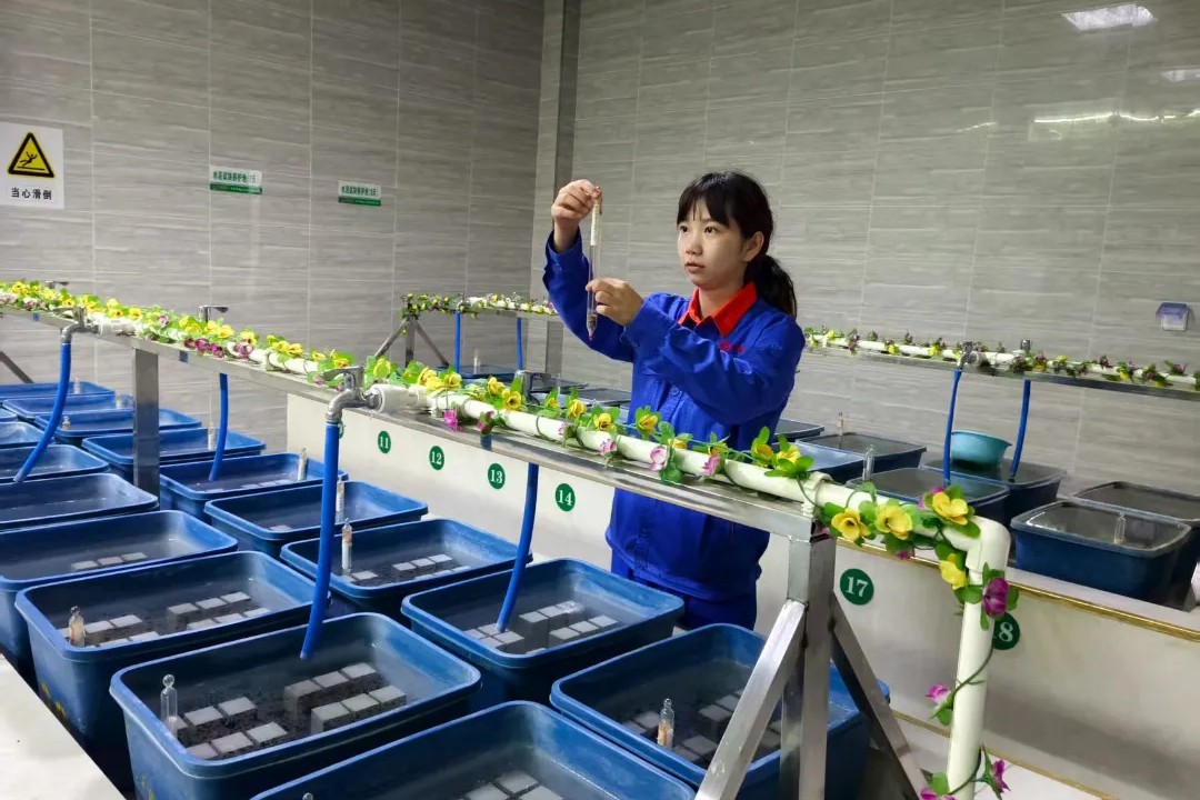 1756263430554235.jpg 紀(jì)潔2.jpg